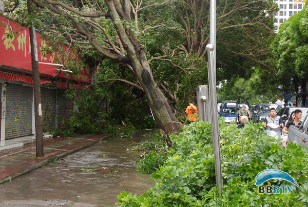钦州市受9号超强台风影响受灾严重_广西新闻