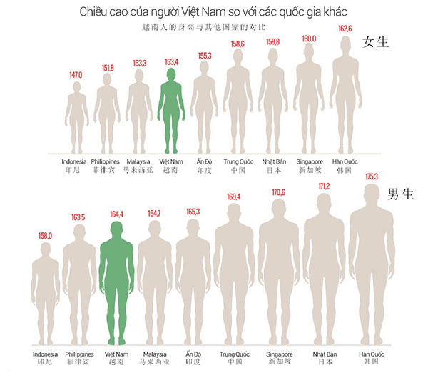 越南青年身高在亚洲排名倒数第三_越南 | BBR