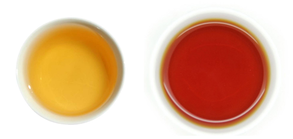 普洱生茶和熟茶的区别及冲泡建议