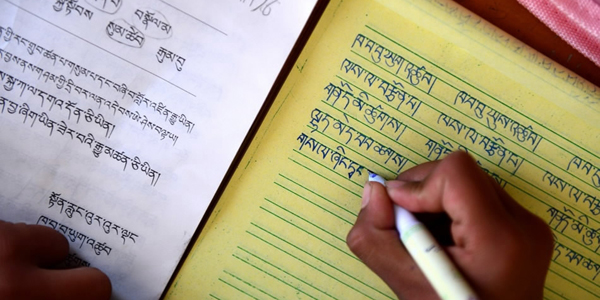 Tibetan language still full of vitality in moderniza