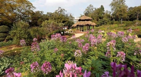 游乐休闲和增长见识的好去处——广西药用植物园