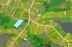 Vegetable fields in fish pond create sustainable system in Guangxi