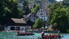 瑞士：莱茵河上赛龙舟