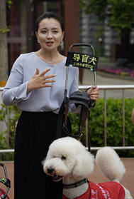 北京举行国际导盲犬日公益活动