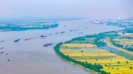 安徽芜湖：长江水域航运繁忙