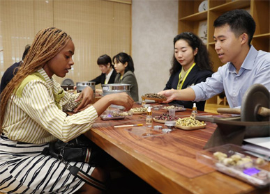 中非青年感受中国传统文化魅力