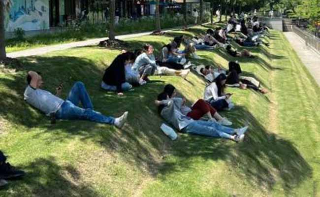 年轻人躺草坪午休，“公园20分钟效应”受追捧