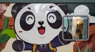 黑龙江哈尔滨：游客乘“熊猫专列”开启“找北”之旅